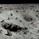 Illustration for article titled Moon Now Overrun With Cane Toads After Species Accidentally Introduced Into Environment During Apollo 17 Mission